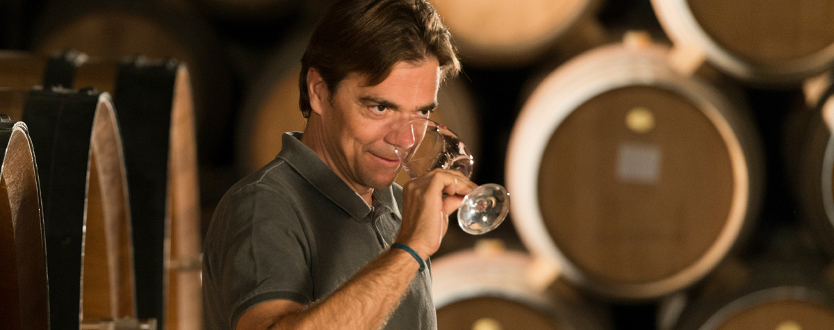 Trepat: How the techniques of ancient monks are boosting an old Spanish variety